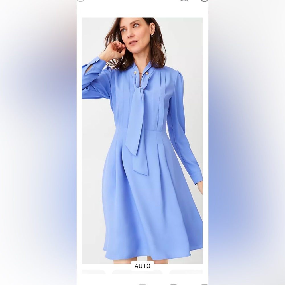 A gorgeous knee length blue dress